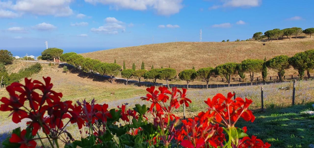 Hotel Tenuta Dell'Argento Resort Civitavecchia Eksteriør bilde