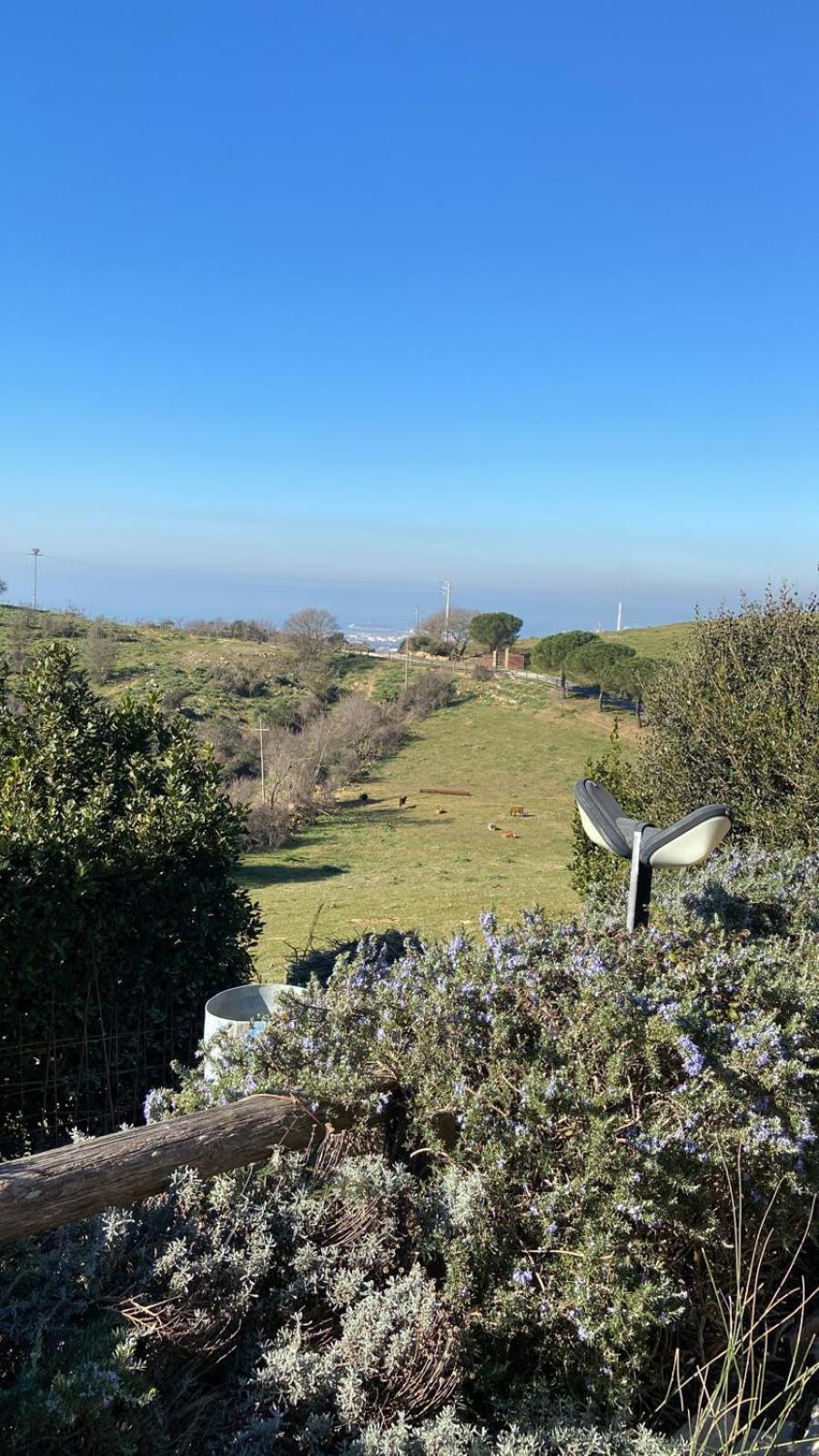 Hotel Tenuta Dell'Argento Resort Civitavecchia Eksteriør bilde